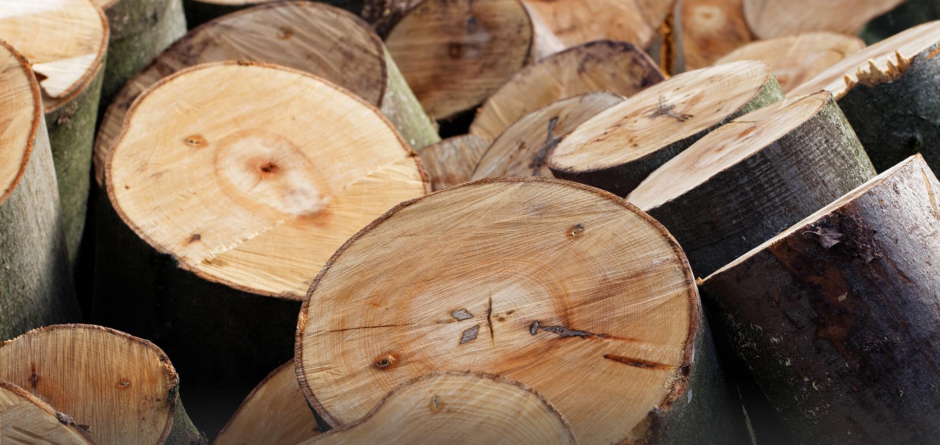 Woodmal Producent wyrobów drewnianych Slajd #1